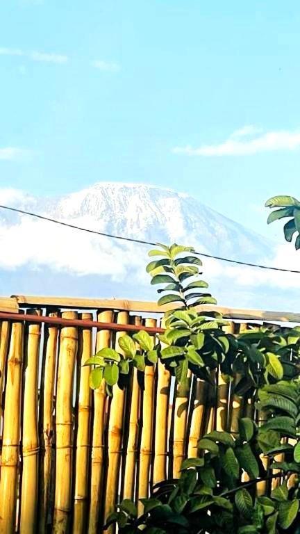 Safi House Boma la Ngombe Exterior foto